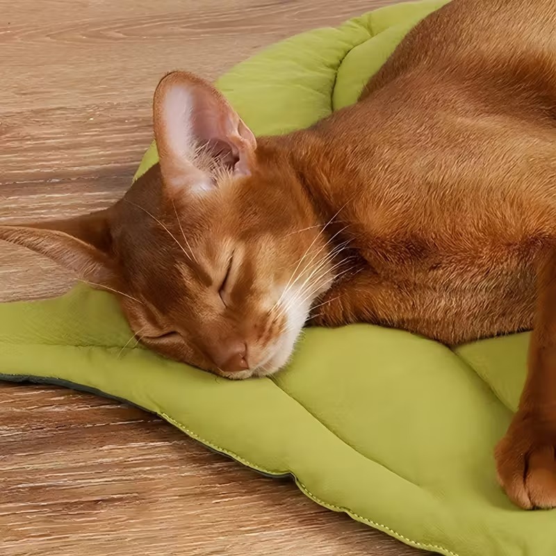 Reversibele zachte bladvormige - Outdoor Camping Dog Bed recensie en prijs