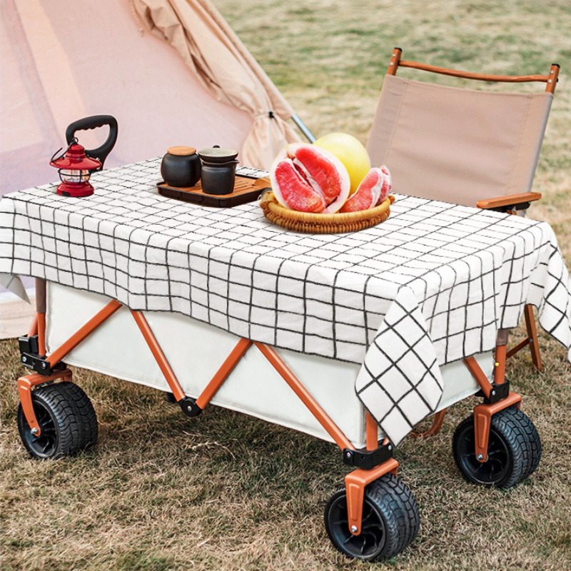 1Pc Wegwerp Campingmat Outdoor - Outdoor Camping Rug Waterproof recensie en prijs