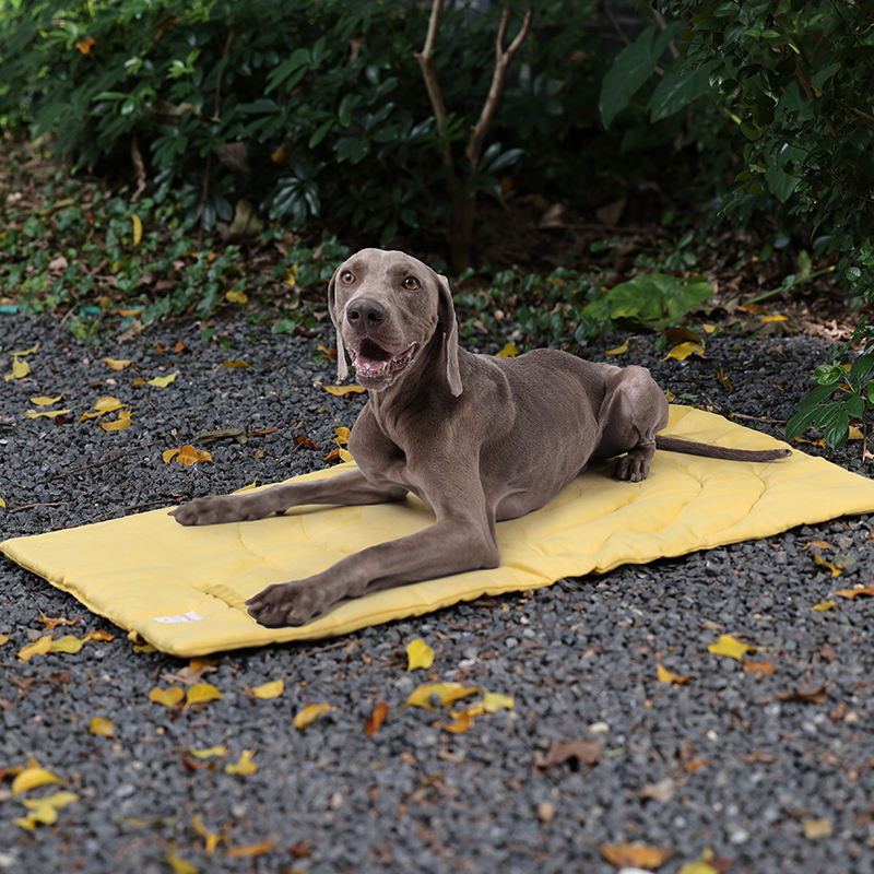 Draagbare Dierenmat Opvouwbare - Outdoor Camping Dog Bed recensie en prijs
